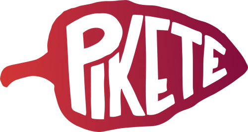 PIKETE LLC